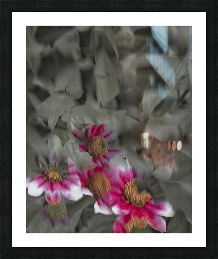 FS240824 27 Picture Frame print
