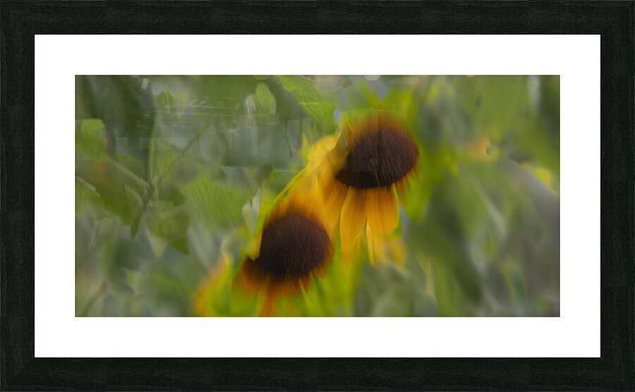 20240824 42 Picture Frame print