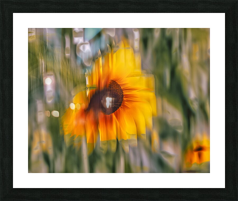 FS240824 450 Picture Frame print