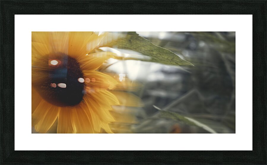 20240824 6 Picture Frame print