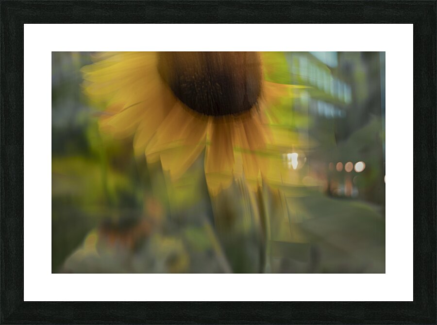 20240824 5 2 Picture Frame print