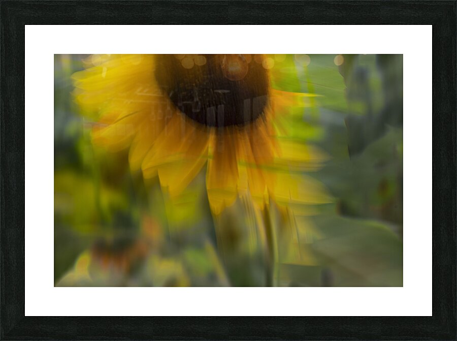 20240824 5 Picture Frame print