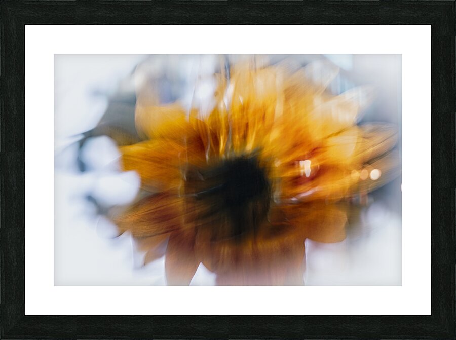 FS240825 63E Picture Frame print