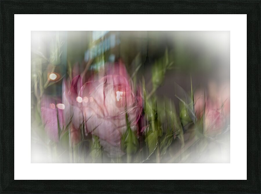FS240825 ROSE Picture Frame print