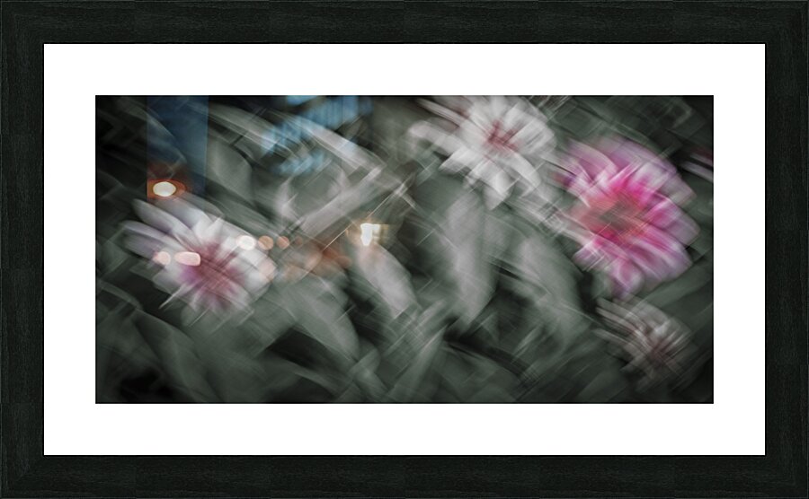 FS240825 95M Picture Frame print