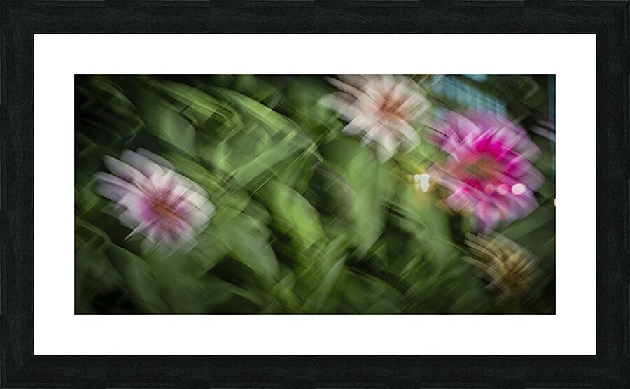 FS240825 95 Picture Frame print