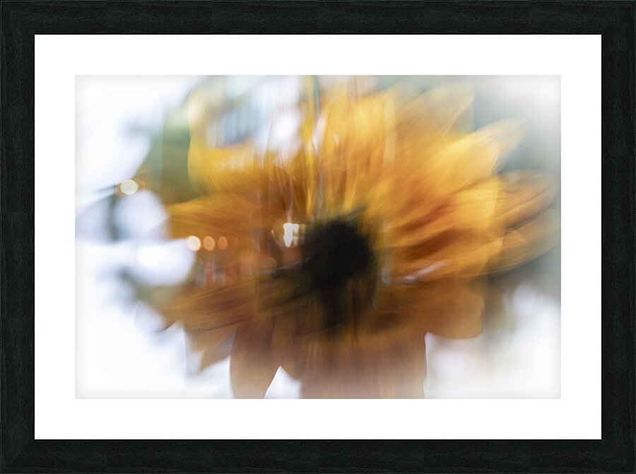 FS240825 63 Picture Frame print