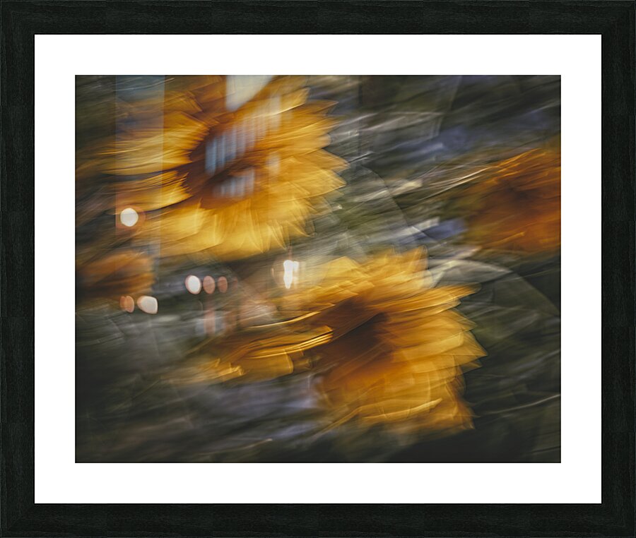 FS240825 94B Picture Frame print