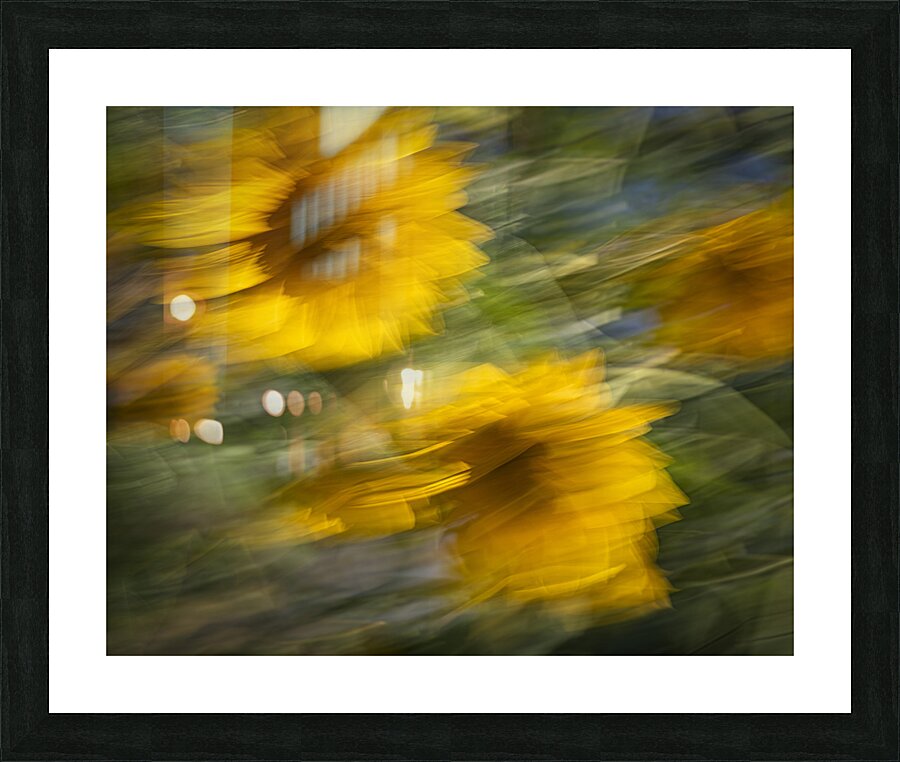 FS240825 94 Picture Frame print
