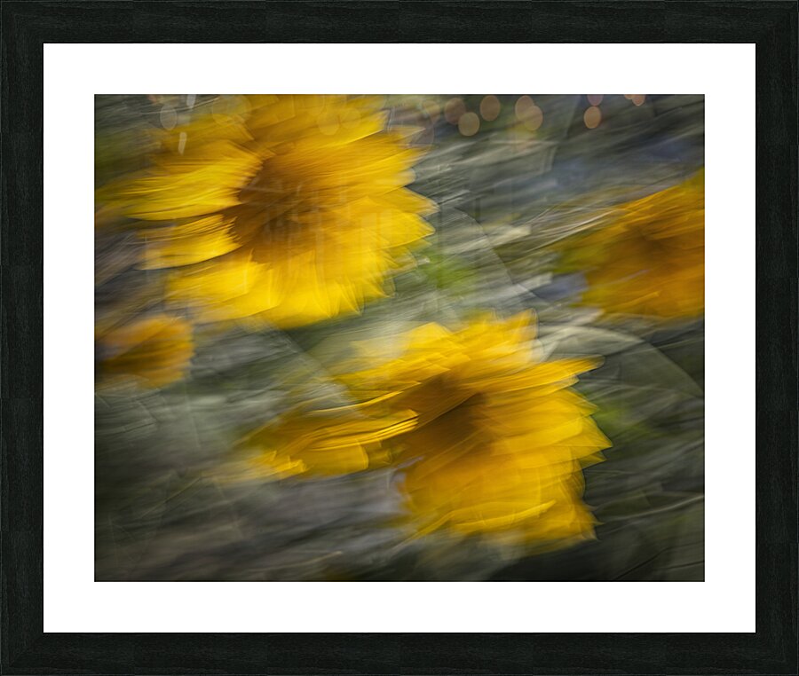 FS240825 94F Picture Frame print