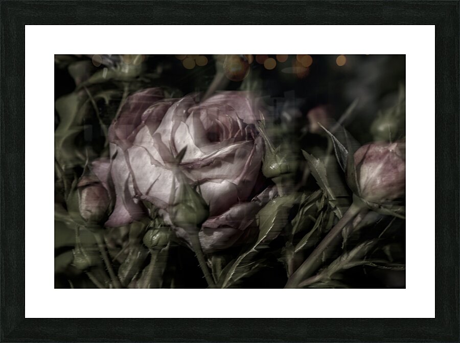 20240825 107 Picture Frame print