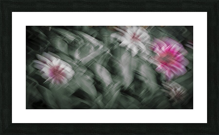 FS240825 95E Picture Frame print