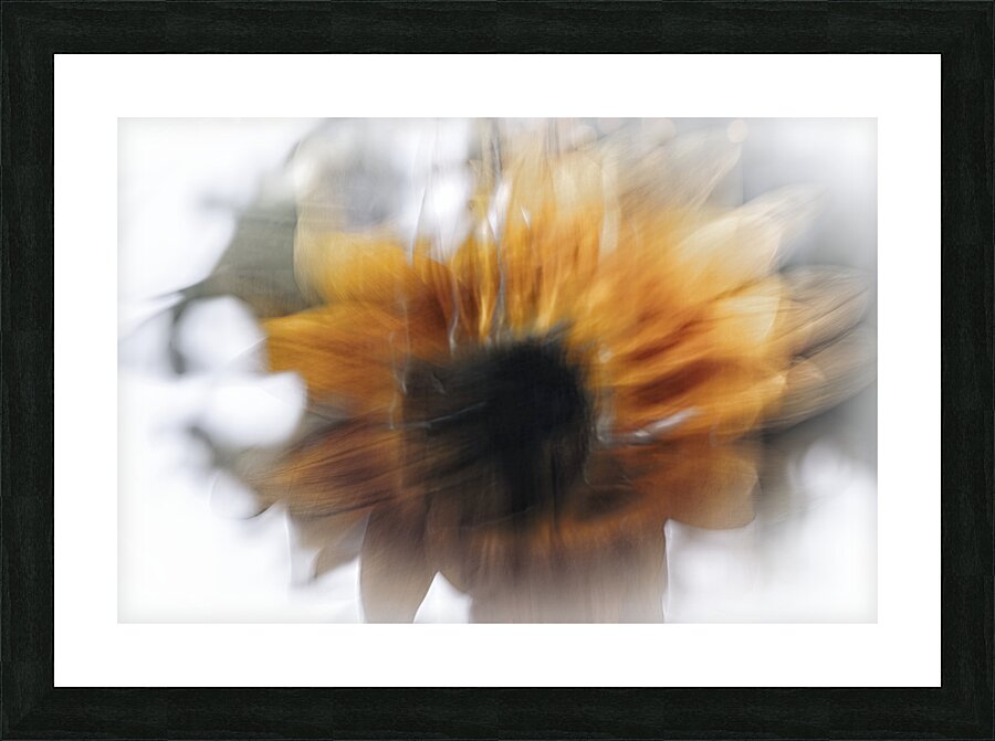 FS240825 63B Picture Frame print