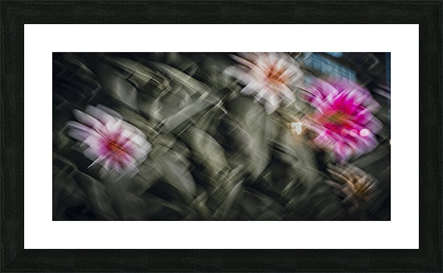 FS240825 95G Picture Frame print