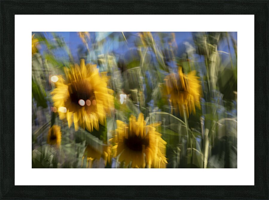 20240825 91 Picture Frame print