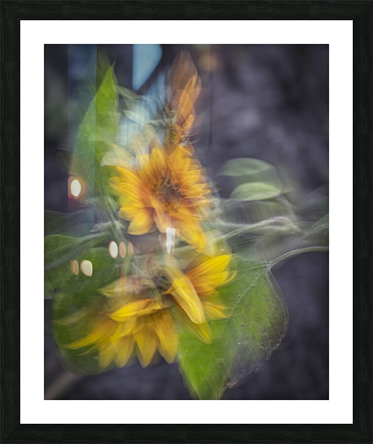 FS240825 70 Picture Frame print