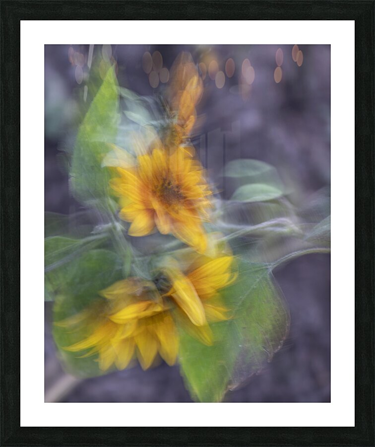 20240825 70 Picture Frame print