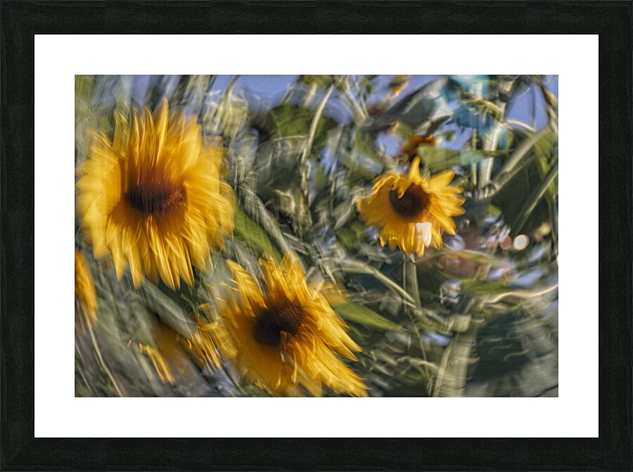 FS240825 90 Picture Frame print