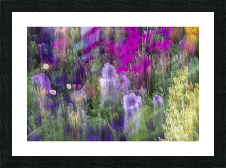 FS240816 01 Picture Frame print