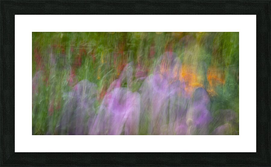 20240816 94 Picture Frame print