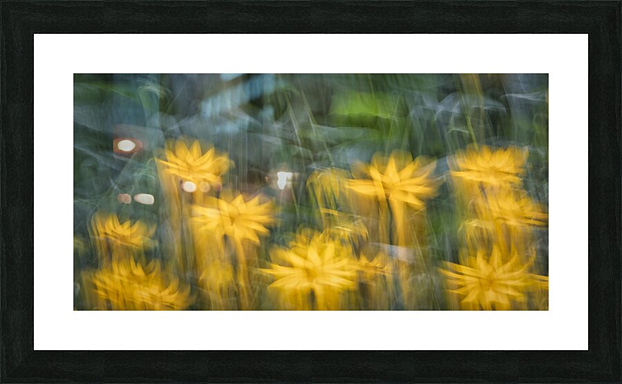 FS240816DW Picture Frame print