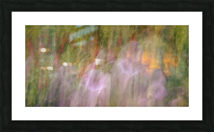 FS240816 00 Picture Frame print