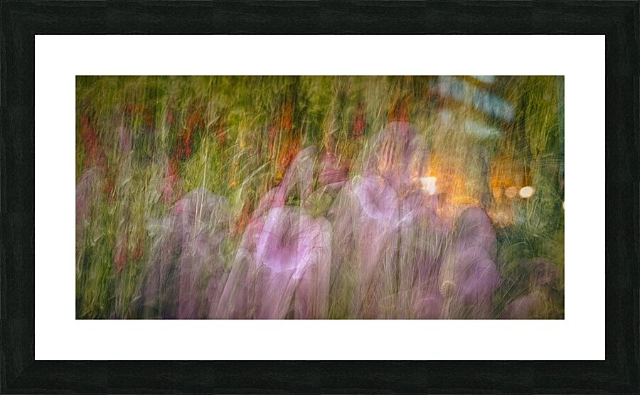 FS240816 02 Picture Frame print
