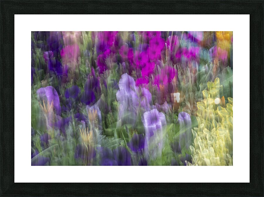 FS240816 011 Picture Frame print