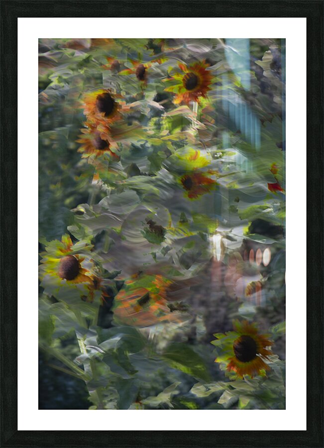 20240827 178 Picture Frame print