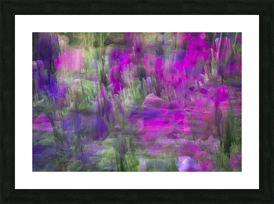 FS240816 84 Picture Frame print