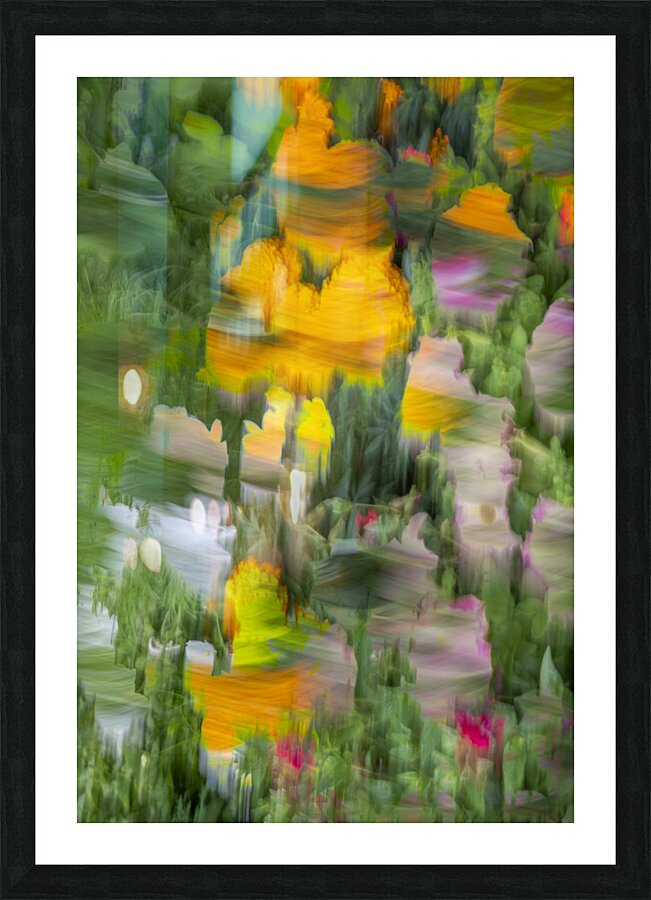 20240816 99 Edit Picture Frame print