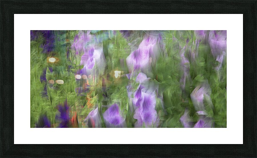 FS240816 Picture Frame print