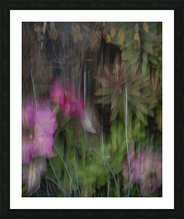 fs240816 109 Picture Frame print