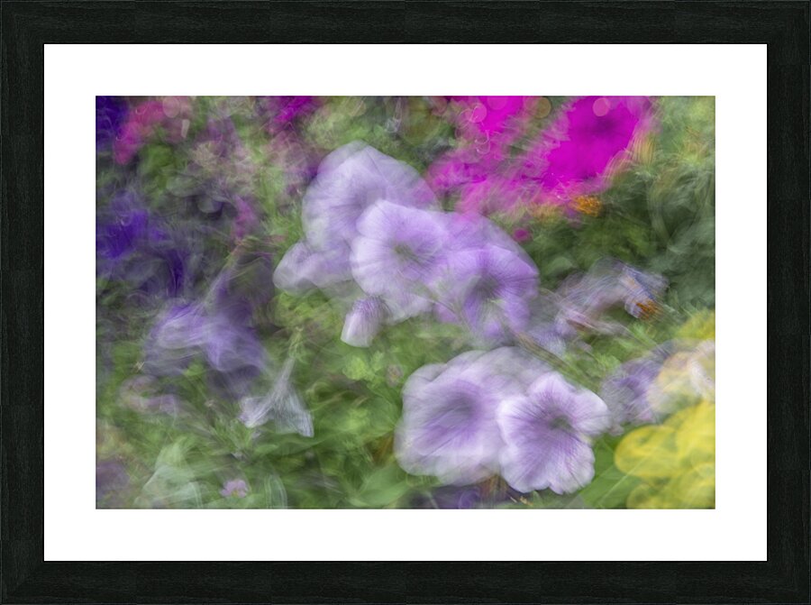 FS240816 72 Picture Frame print