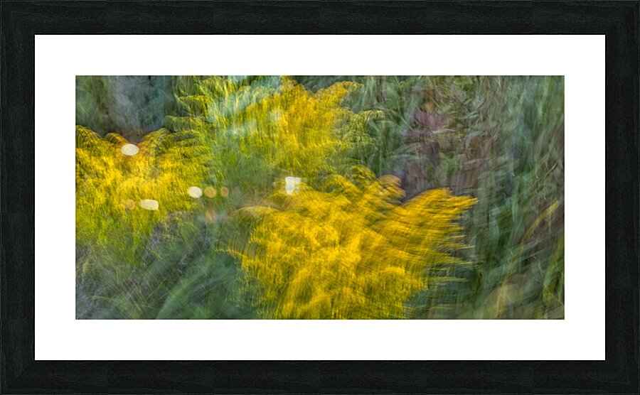 fs240816 62 Picture Frame print
