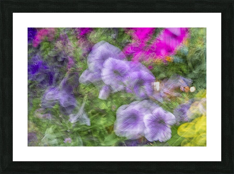 FS240816 00 Picture Frame print