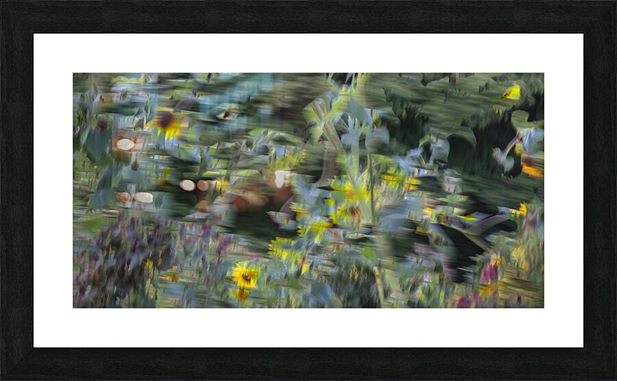 FS240820DW Picture Frame print