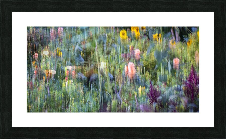 FS240820 284 Picture Frame print