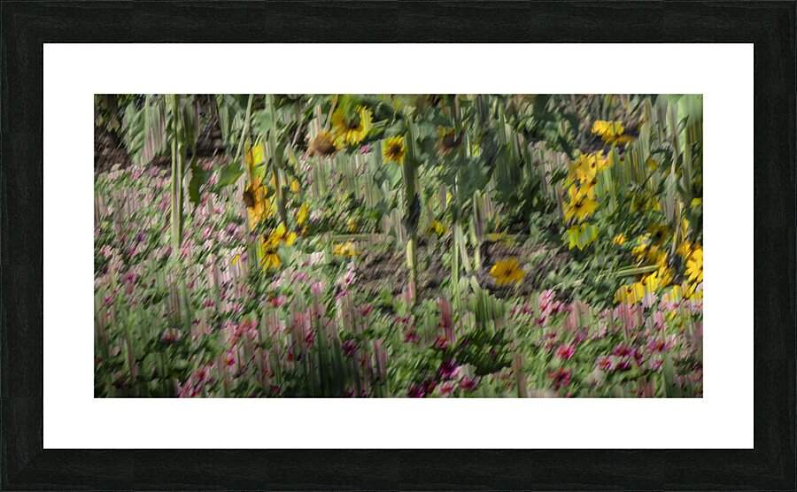 fs240820 263 Picture Frame print