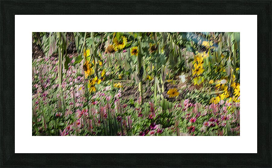 fs240820 08 Picture Frame print