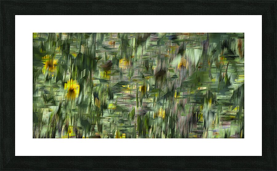 FS240820 SUNFLOWERS Picture Frame print