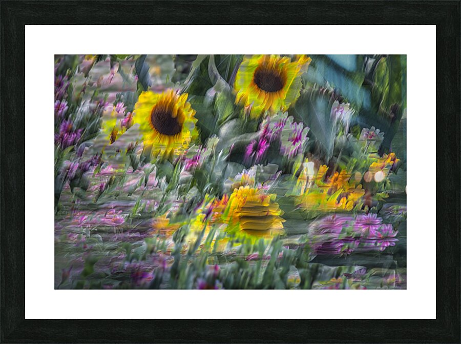 FS240902 Picture Frame print