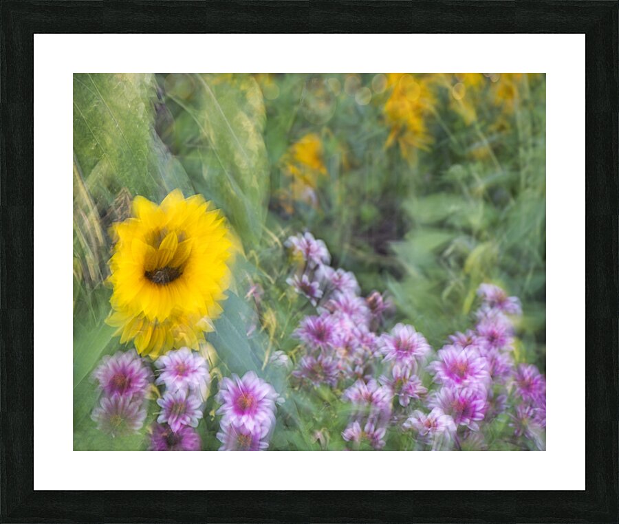 FS240831 45 Picture Frame print