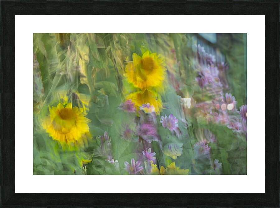 FS240831 63 Picture Frame print