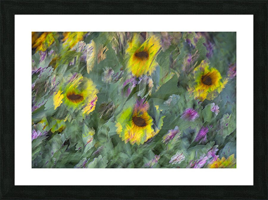 FS240831 68 Picture Frame print