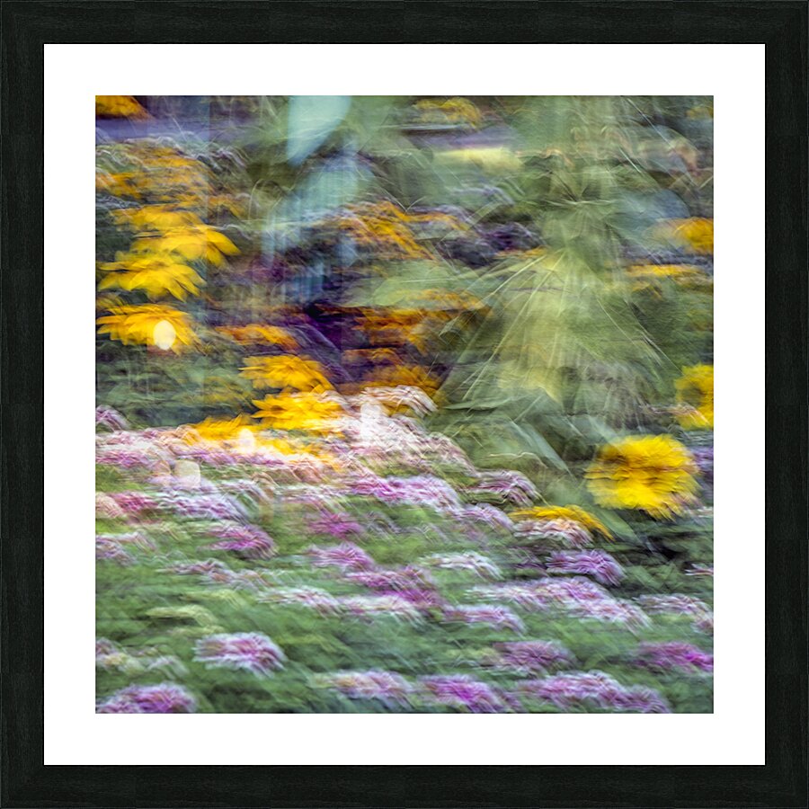 FS240831S Picture Frame print