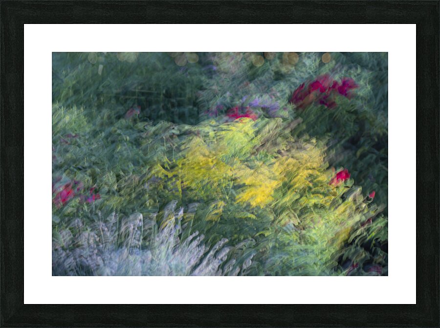 20240831 127 Picture Frame print