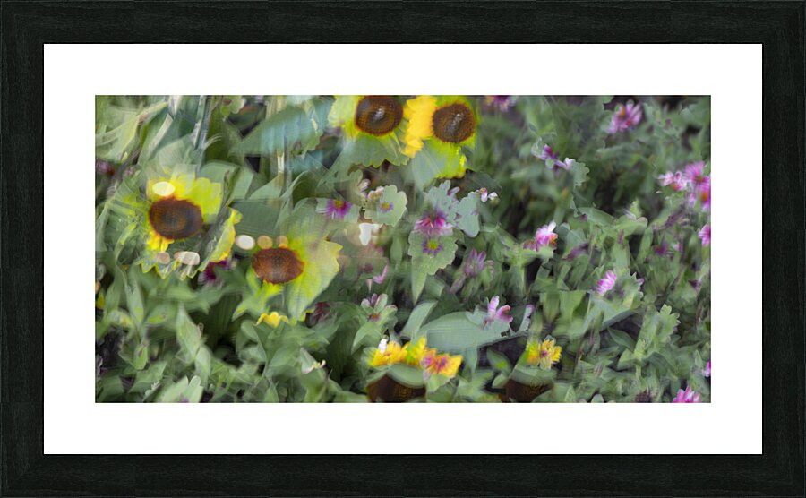 20240831 75 Picture Frame print