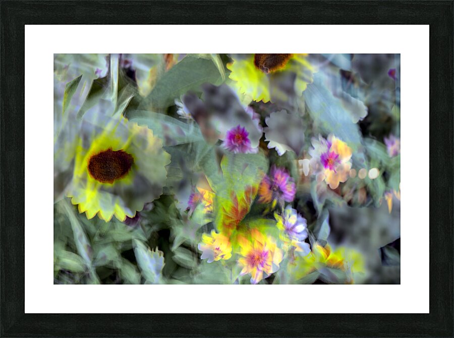 FS240831 71 Picture Frame print
