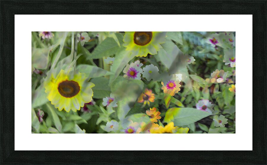 20240831 77 Picture Frame print